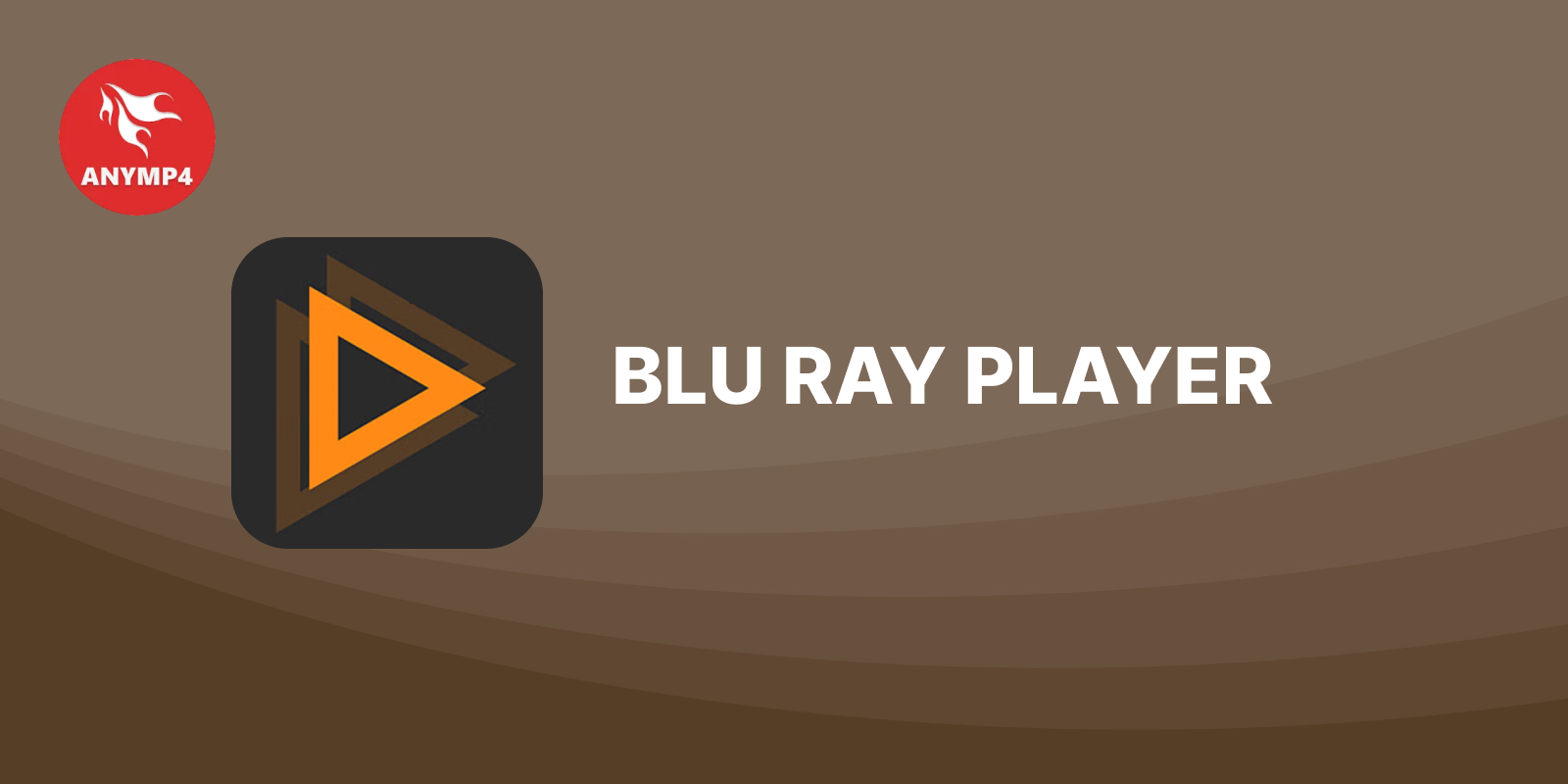 AnyMP4 Blu ray Player