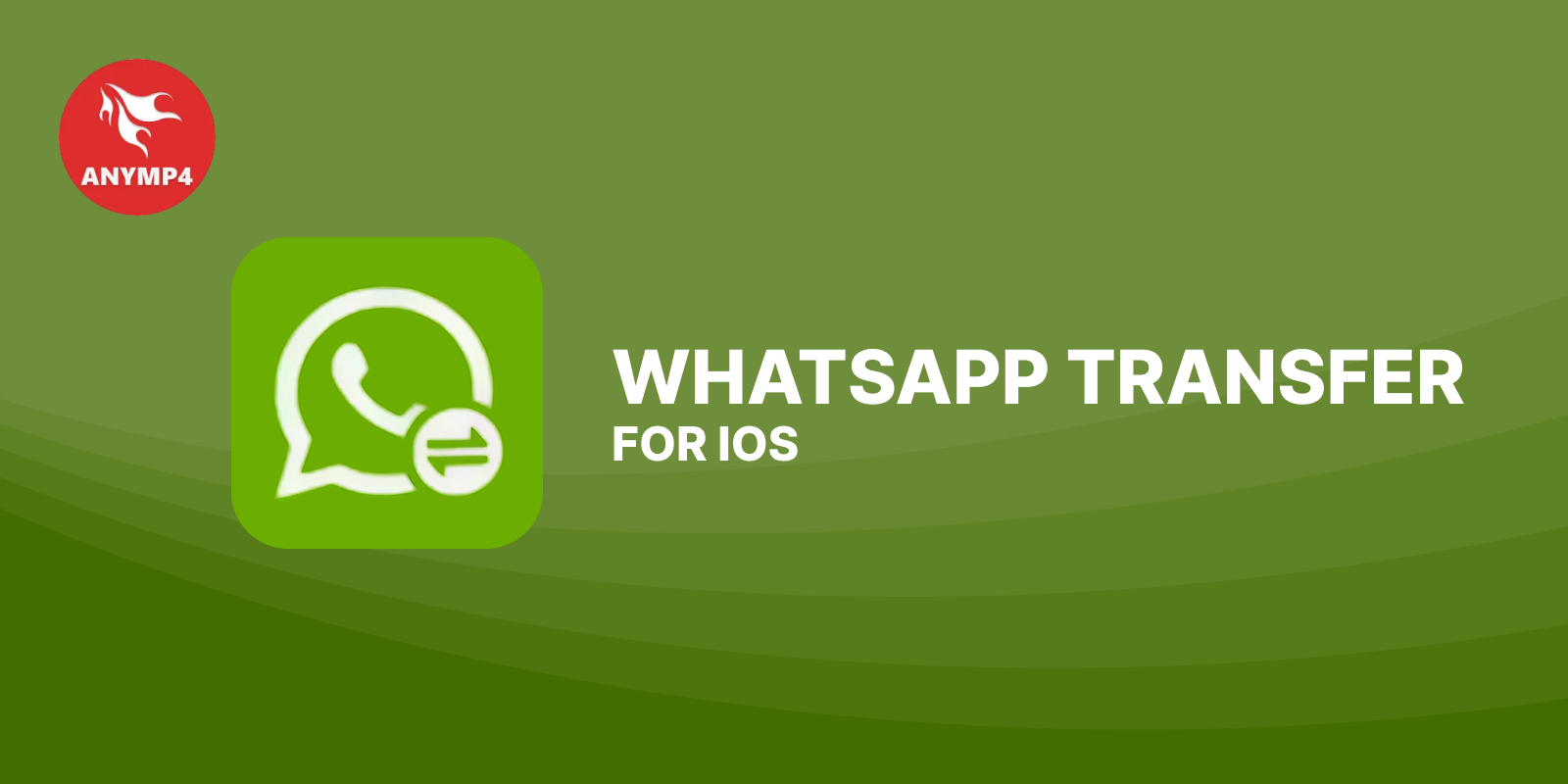 AnyMP4 WhatsApp Transfer for iOS