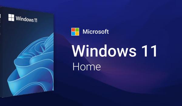 Microsoft Windows 11 Home and Microsoft Office 2024 LTSC Pro Plus Bundle