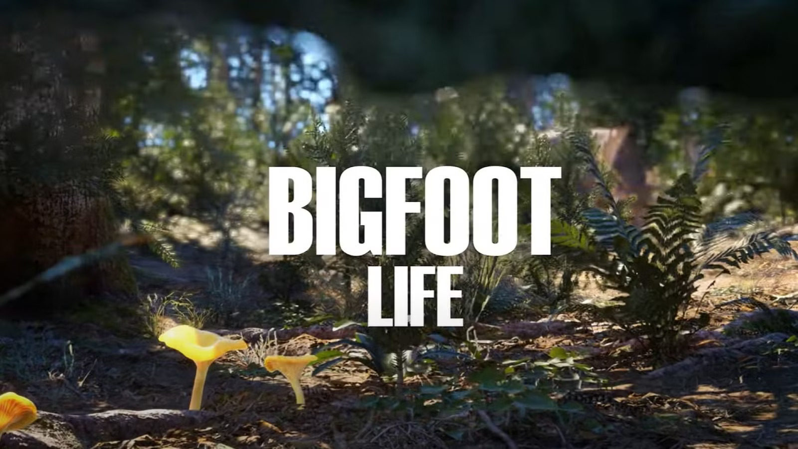 Bigfoot Life (Steam Account)