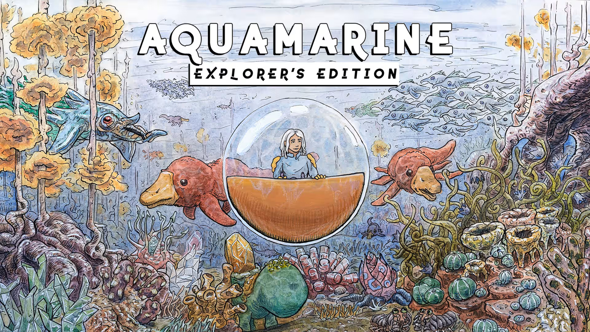 Aquamarine Explorers