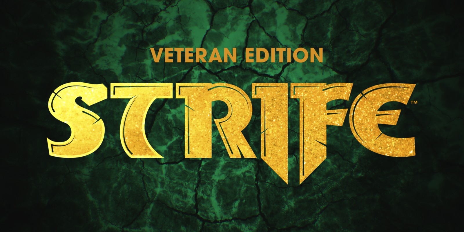 Strife Veteran
