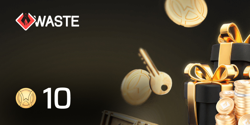 Skinwaste Gift Card 10 Coins