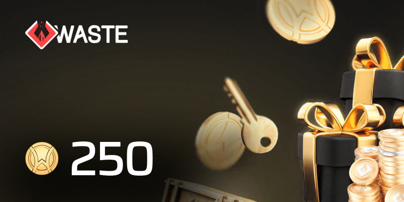 Skinwaste Gift Card 250 Coins