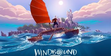 Köp Windbound (Nintendo)