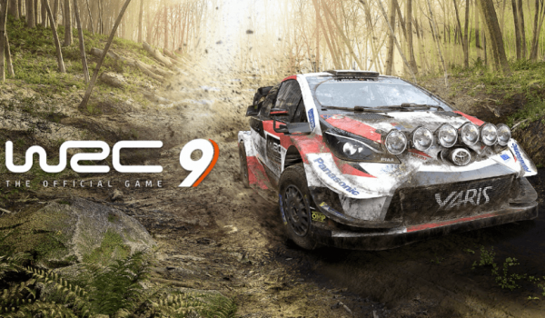 WRC 9 (PC Epic Games Accounts)