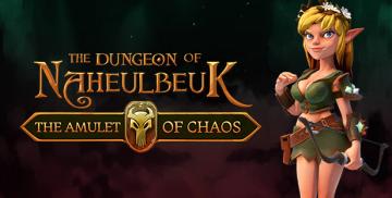 购买 The Dungeon of Naheulbeuk: The Amulet of Chaos (Nintendo)