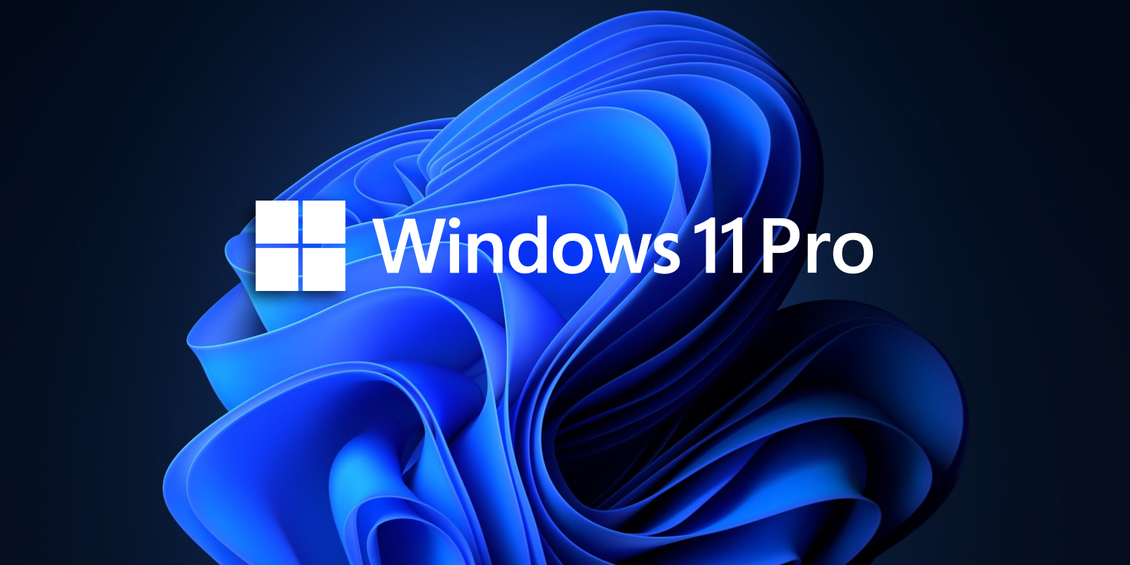 Microsoft Windows 11 Professional