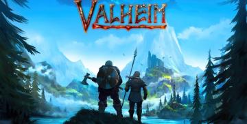 購入Valheim (Steam Account)