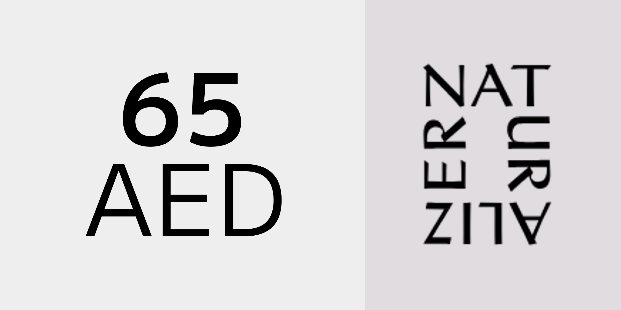 Naturalizer Gift Card 65 AED