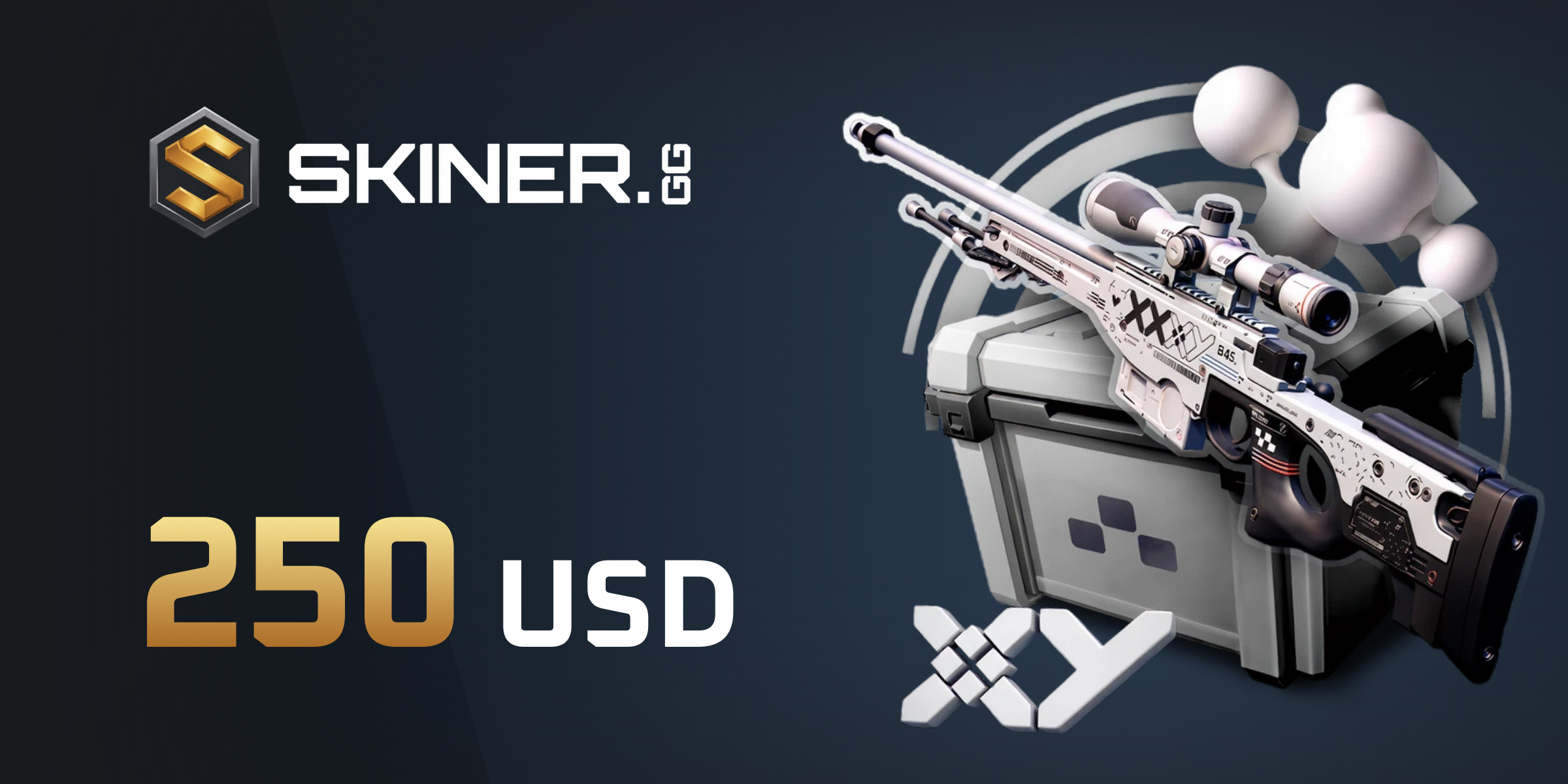 Skiner Gift Card 250 USD