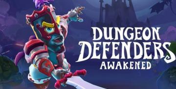 Comprar Dungeon Defenders: Awakened (Nintendo)