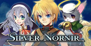 Buy Silver Nornir (Nintendo)